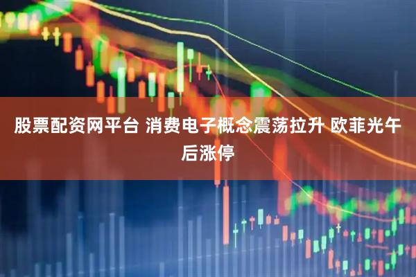 股票配资网平台 消费电子概念震荡拉升 欧菲光午后涨停