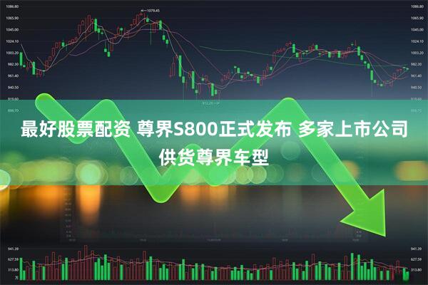 最好股票配资 尊界S800正式发布 多家上市公司供货尊界车型